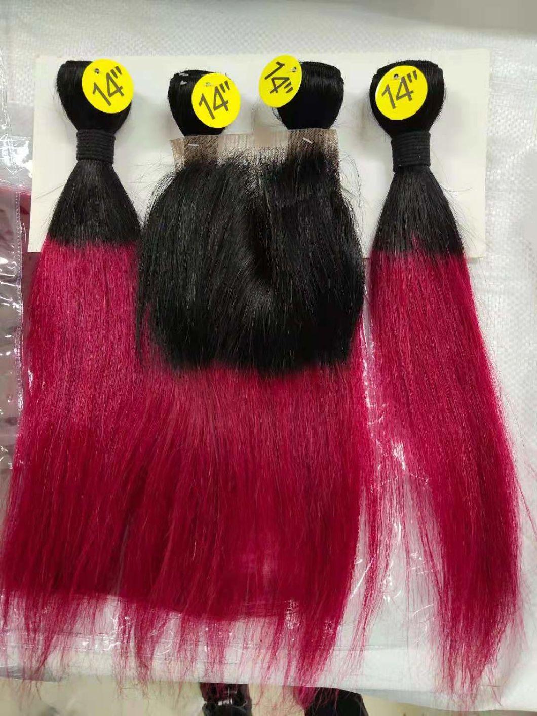 Ombre Color Cheap Price Human Hair Bundles with Lace Closure Pack