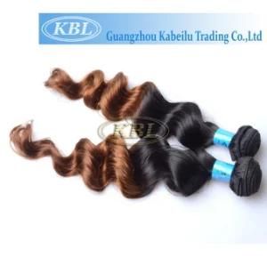 Fashion Style Brazilian Two Tone Human Hair