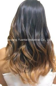 Clip in (on) Light Color Hair Human Extensions