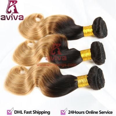 Top Quality Brazilian Virgin Ombre Hair Two Tone Body Wave