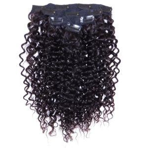 Peruvian Natural Black Jerry Curly Clip in Human Hair Extensions