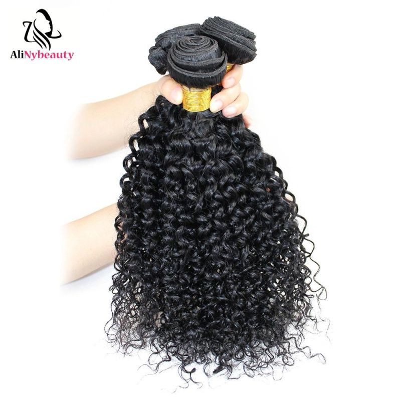 Alinybeauty Hot Selling Jerry Curly Hair 100% Brazilian Hair