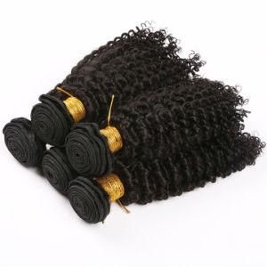 Brazilian Curly Hair Bundles Human Hair Kinky Curly Bundles