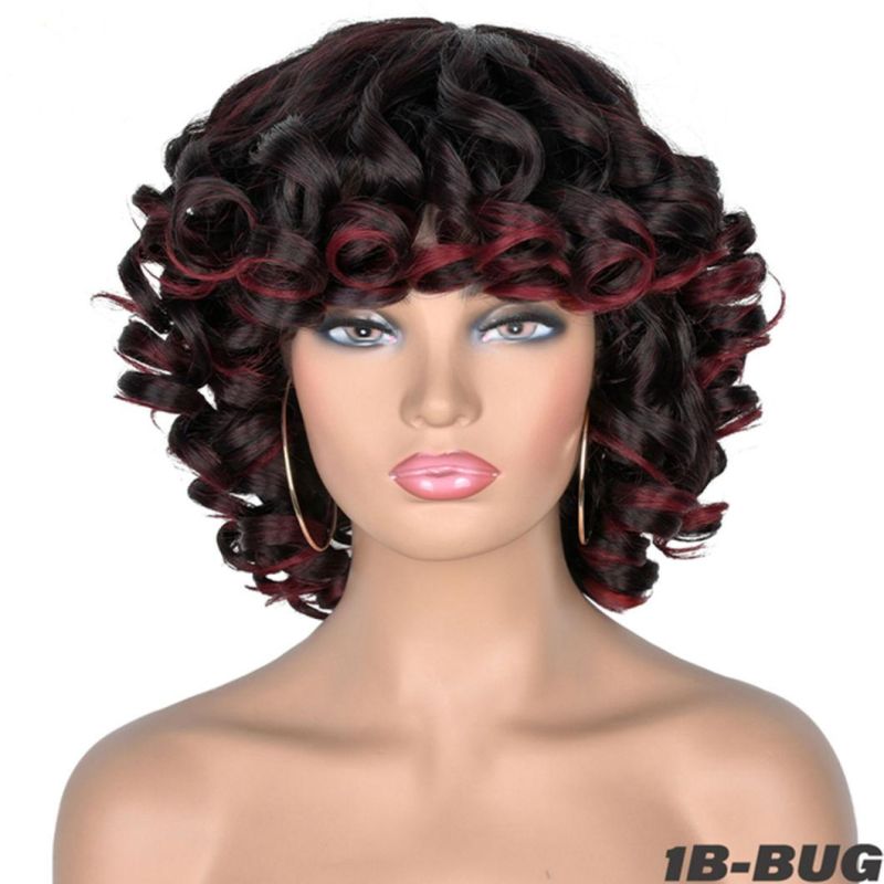 Brazilian Human Hair Short Hair Afro Curly Wig with Bangs Loose Fluffy Shoulder Length Natural Lace Front Wigs for Black Women 14"