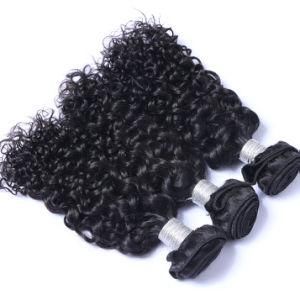 Peruvian Curly Hair Human Hair Weave Bundles