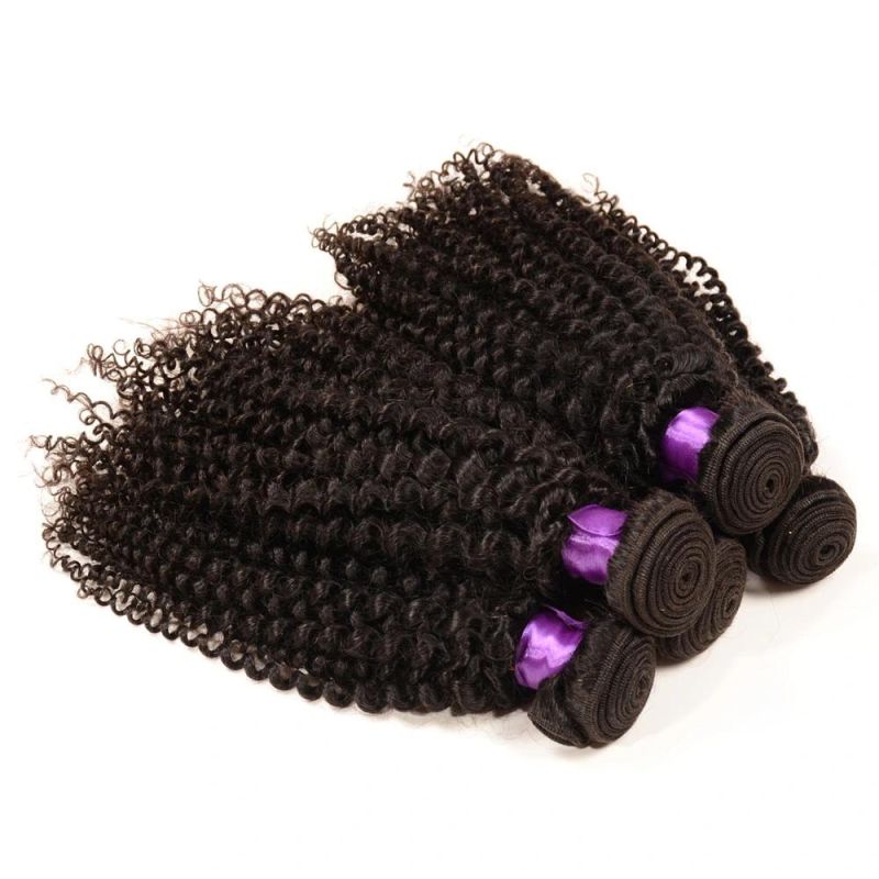 100% Virgin Indian Afro Kinky Curly Hair Hot Sale Afro Kinky Hair Weaving Grade 7A Afro Kinky Human Hair