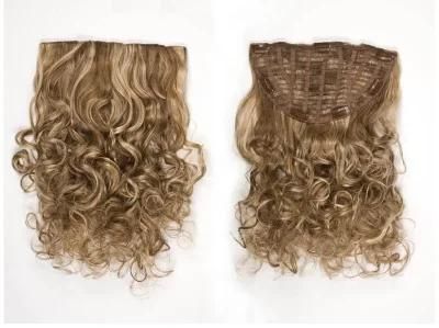 Clip in Half Wig Hairpieces Virgin Hair Clip on Hair Extensions (AV-HW00-23)