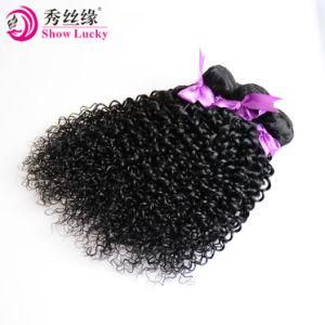 High Quality 10A Fiber Hair Kinky Curly Weave 12-28 Inch Kanekalon Hair Bundles Extension High Temperature Synthetic Extension