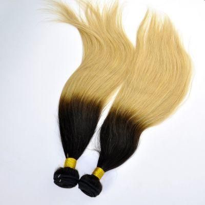 Malaysian Virgin Hair Straight Ombre Human Hair Extensions