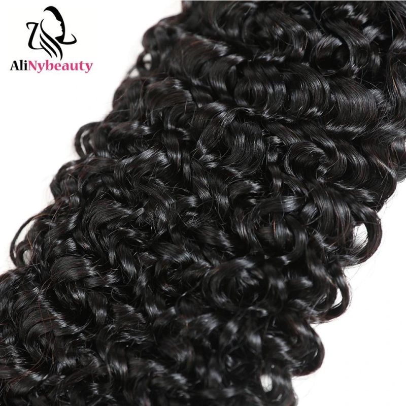 100% Indian Remy Human Hair Jerry Curly Bundles with Lace Closure