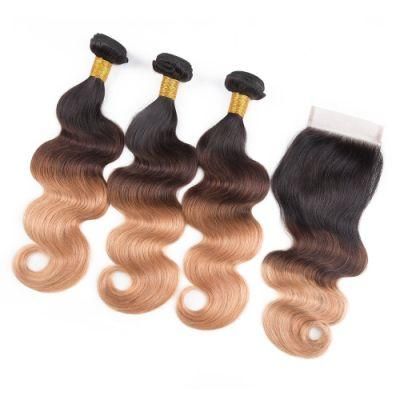 Ombre Body Wave Brazilian Virgin Hair Weave Human Hair Bundles with Closure