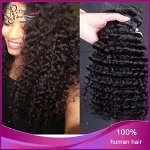 Unprocessed Virgin Human Good Quality Human Hair