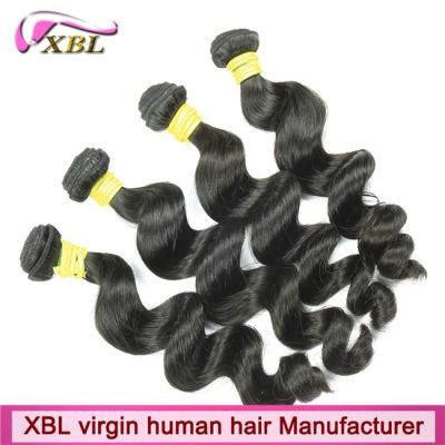Unprocessed Loose Wave Natural Brazilian Virgin Hair