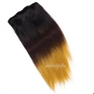 Brazilian Ombre T2/8 Straight Clip-in 100% Human Hair