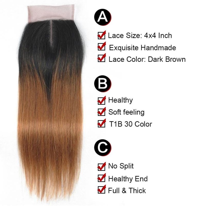 Ombre Hair Peruvian Straight Hair Bundles with Closure Human Hair 1b 30 Bundles with Closure 10-26inch Weave Remy Hair