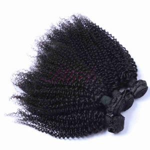 Lab Factory Indian Virgin Kinky Curl Bundles Human Hair