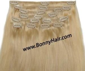 European Human Remy Hair Clip on Hair Extension