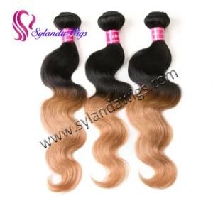 #1b-27 Ombre Body Wave Brazilian Human Hair Weaves Hair Weft with Free Shipping