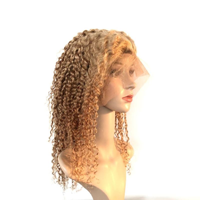 Natural Human Hair Virgin Hair Lace Frontal Curly Human Wig