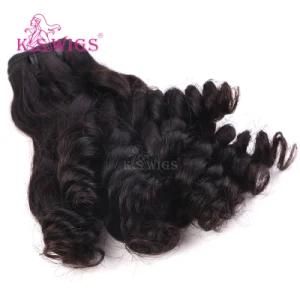 Funmi Curly Hair Brazilian Virgin Hair Remy Hair Weft