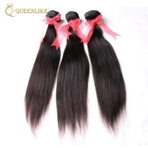 Raw Virgin Cuticle Aligned Vendors Indian Human Hair