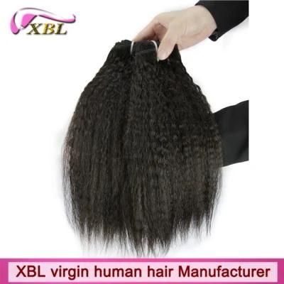 Wholesale Price Xbl Virgin Indian Kinky Straight Hair