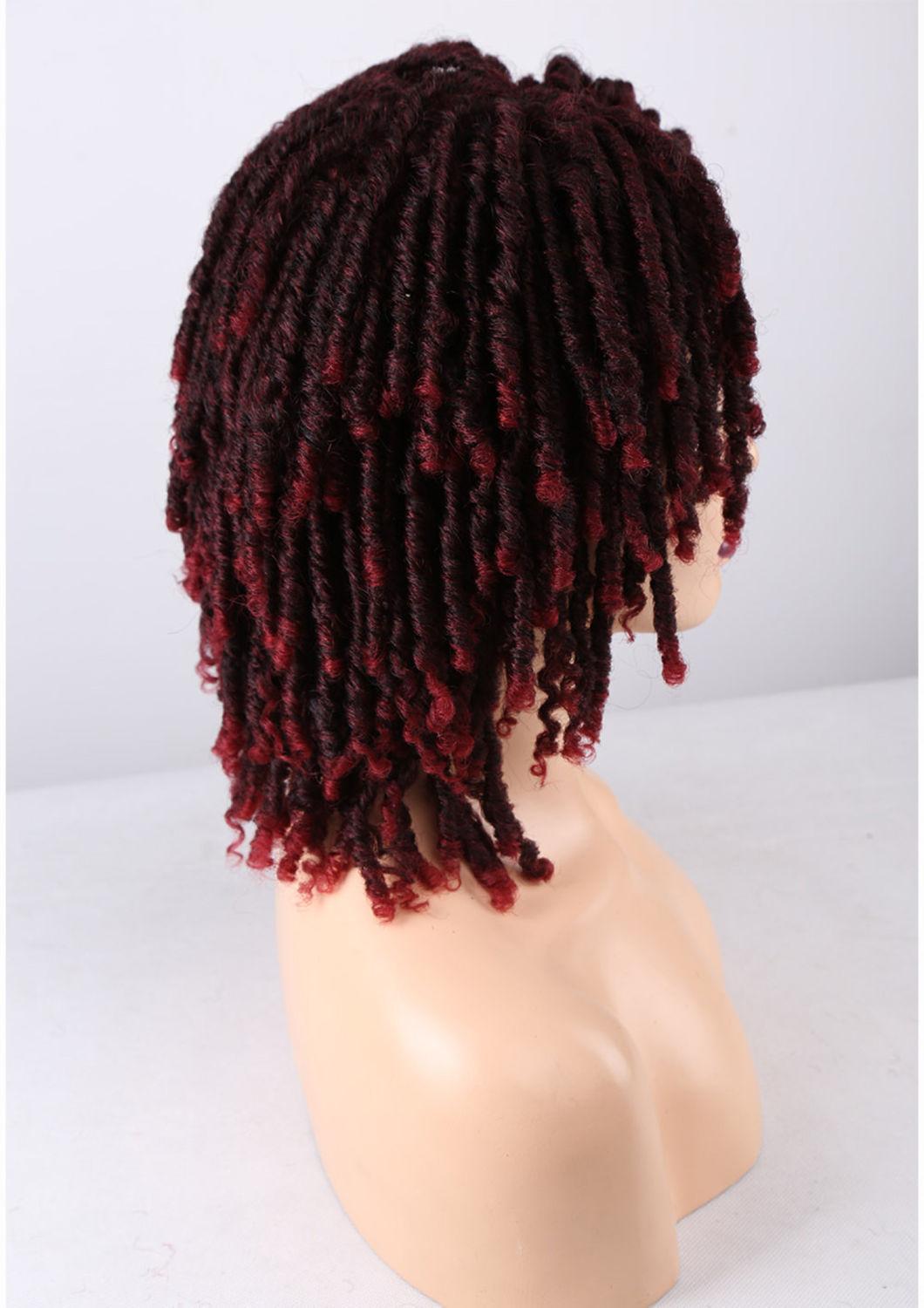 Short Twist Curly Wig Multi Color for Black Women and Men Afro Synthetic Crochet Hair Faux Locs Braid Wigs Dreadlock