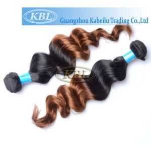 Two Tone Color Brazilian Human Hair