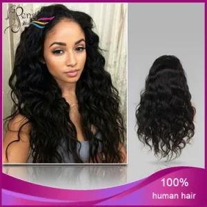 Wholesale Price 100% Indian Hair Full Lace Wigs Virgin Hair