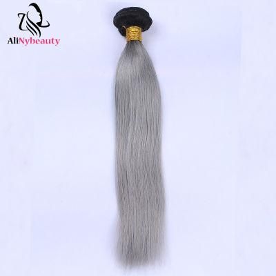 Alinybeauty Grey Color Unprocessed Brazilian Human Hair Extension
