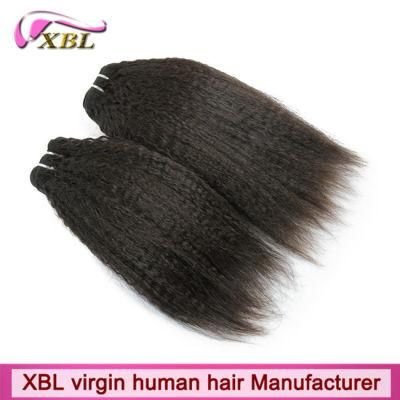 Kinky Straight Hair Weave Virgin Monglian Human Hair