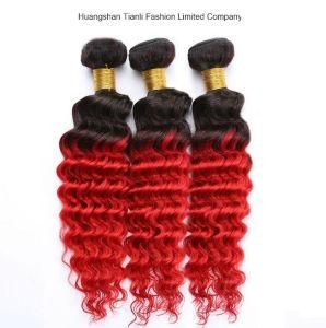 20&quot; Virgin Brazilian Loose Wave Hair Ombre Human Hair