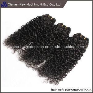 Brazilian Curly Human Hair Extension Remy Hair Weave