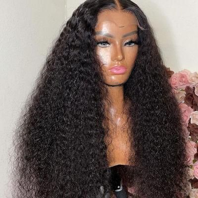 Brazilian Kinky Curly Natural Wigs Pre Plucked Lace Wig 13X6 Human Hair HD Lace Front Wigs