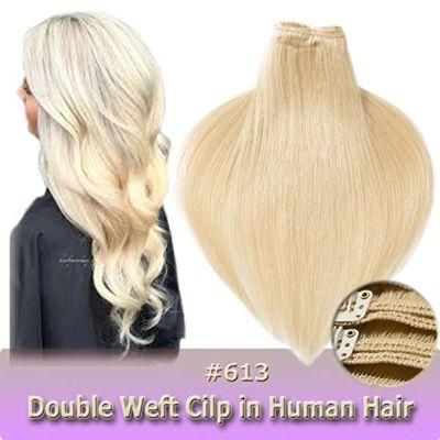 Aviva Double Weft Human Hair Extensions 8pieces 20clips for Full Head Set Clip in Human Hair (AV-CH160-20-613)