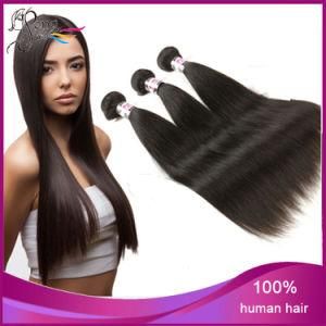 Brazilian Unprocessed Straight Human Hair