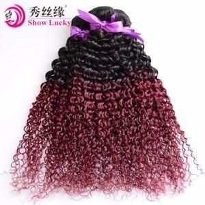 Ombre Kinky Curly Hair Weave Cuticle Remy Virgin Vietnamese Human Hair Weave