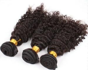 Kinky Curly Indian Human Hair Weaving Virgin Remy Indian Hair