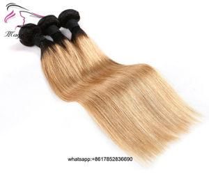 Wholesale Human Virgin Hair Brazilian Iaian Peruvian Straight Hair Weft Extension 1b/27 Hair
