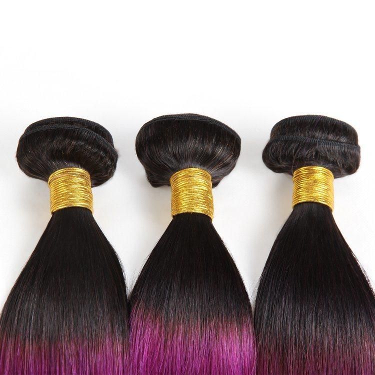 Bone Straight Human Hair Bundles Brazilian Hair Weave Extension #T1b/Purple