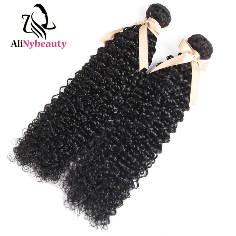 Unprocessed Virgin Brazilian Human Hair Jerry Curly Bundles with Closure