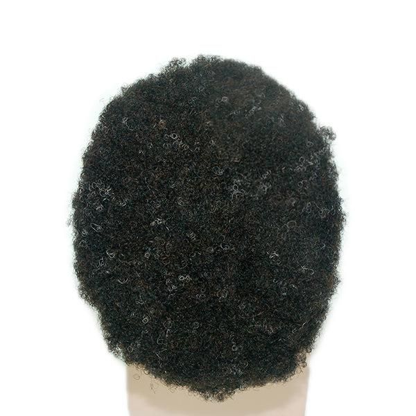 Lw80 High Quality Men′s Afro Wig Curly Human Hairpiece