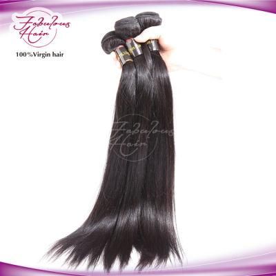 Best Selling Kinky Straight Brazilian Human Hair Wefts