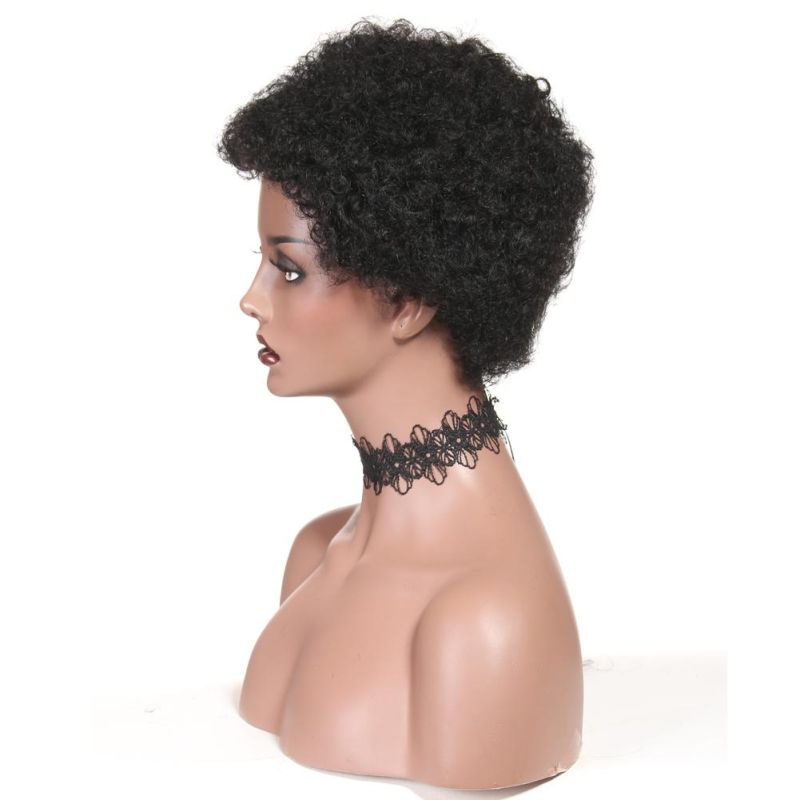 Short Curly Human Hair Wigs Brazilian Virgin Afro Kinky Curly Wig