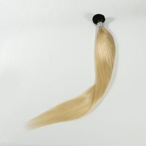 Raw Unprocessed Virgin Double Drawn Human Hair Bundle with Closure
