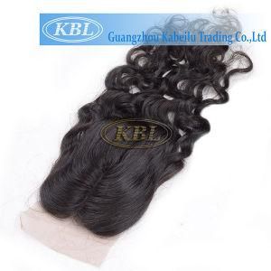 Charming Unprocessed Brazilian Virgin Hair Bundles with Women Closure