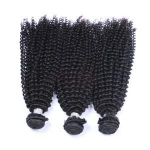 Wholesale Natural Black Brazilian Human Kinky Curly Hair Extension