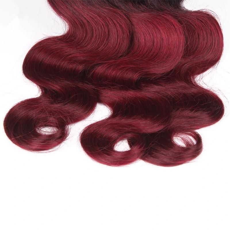 Wholesale Unprocessed 100% Brazilian Human Hair Color 1b 99j