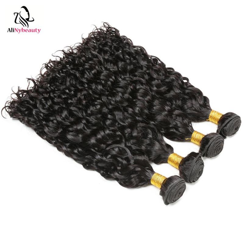 Alinybeauty High Quality Water Wave Virgin European Human Natural Hair