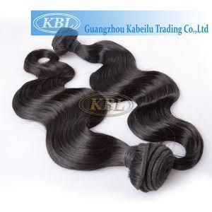 Malaysian Human Hair High Quality Long Hair